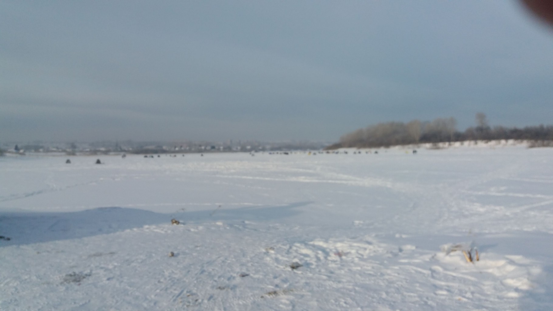 20190115_152031.jpg