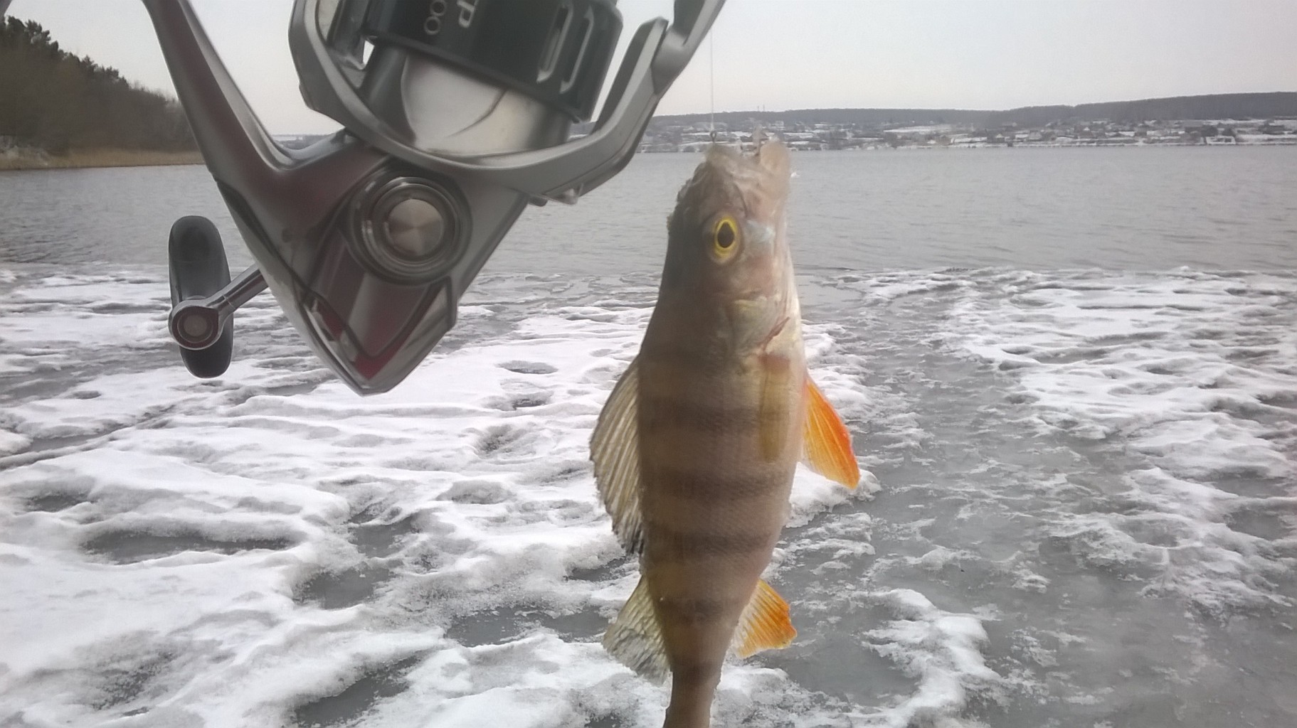 WP_20190228_11_38_49_Pro.jpg