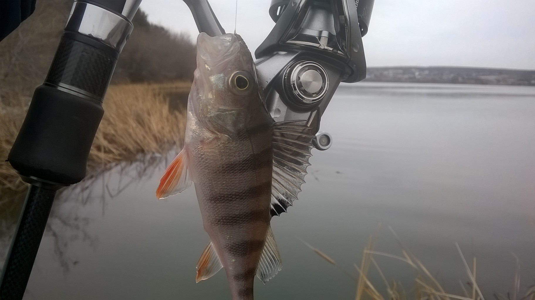 WP_20190316_10_14_25_Pro.jpg