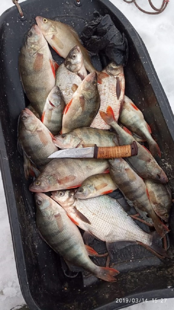 IMG-20190315-WA0017.jpg
