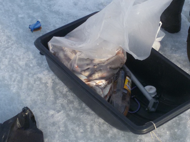20190411_181251.jpg