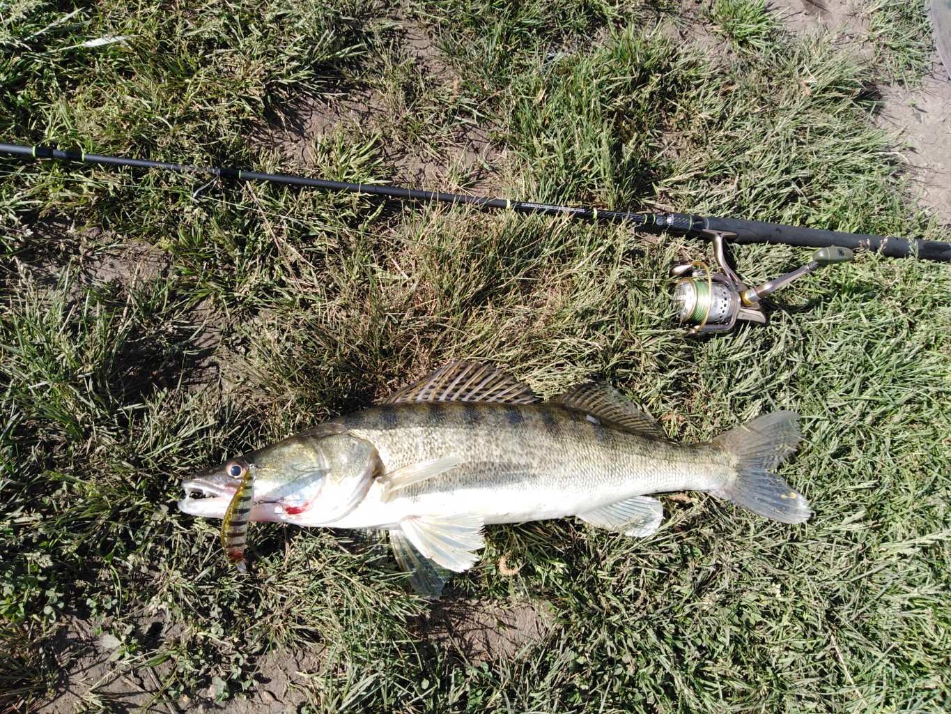 IMG_20190613_084736.jpg