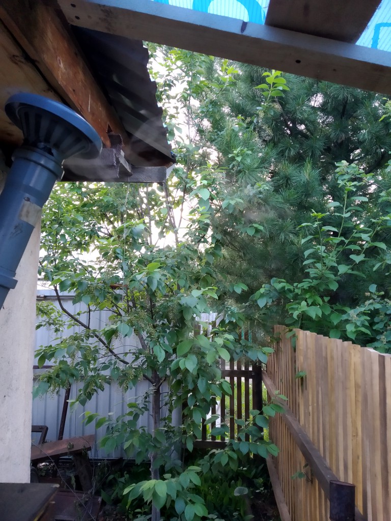 IMG_20190615_203729[1].jpg