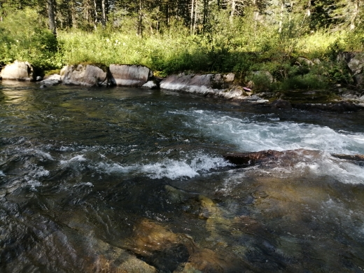 IMG_20190803_100836.jpg