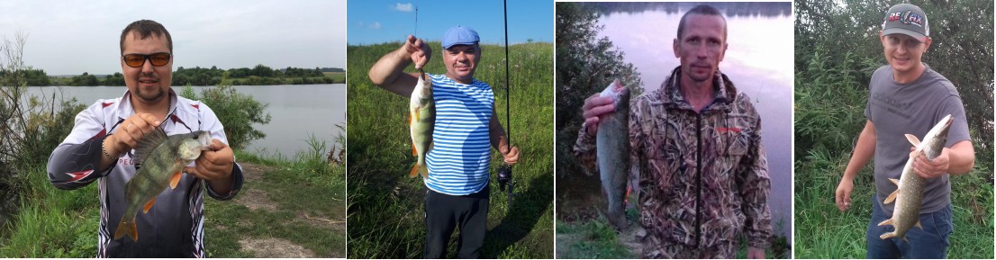 хищник на металке.jpg