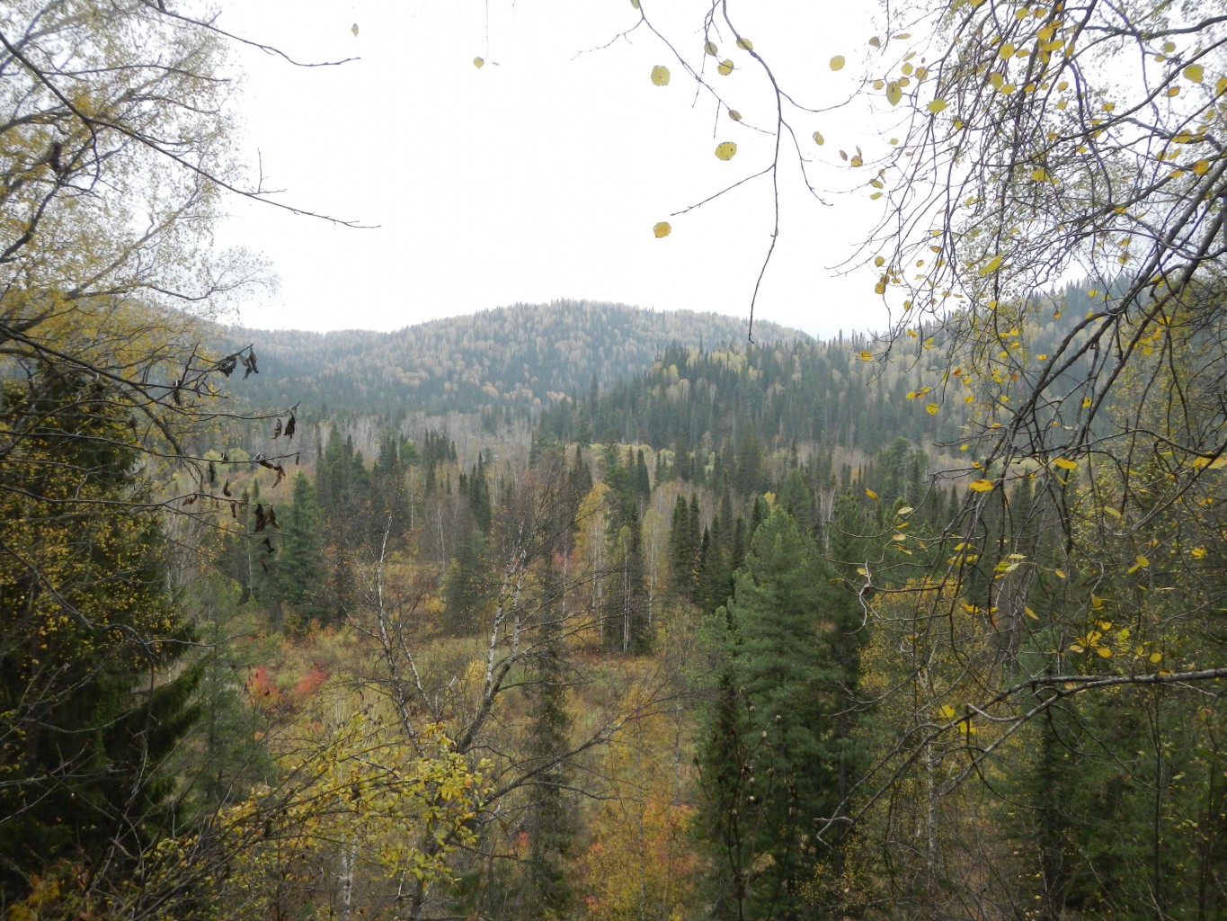 DSCN9738.JPG