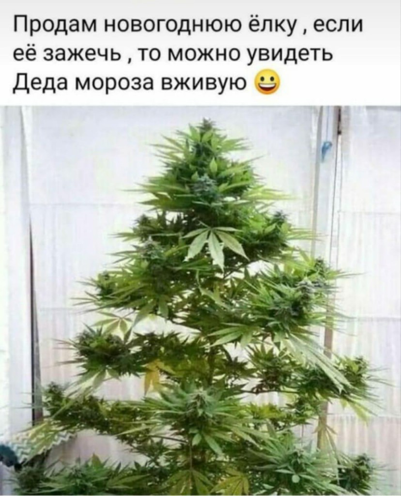 IMG-20191227-WA0021.jpg