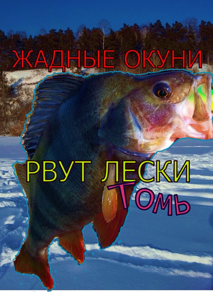 20180221_1659415.jpg