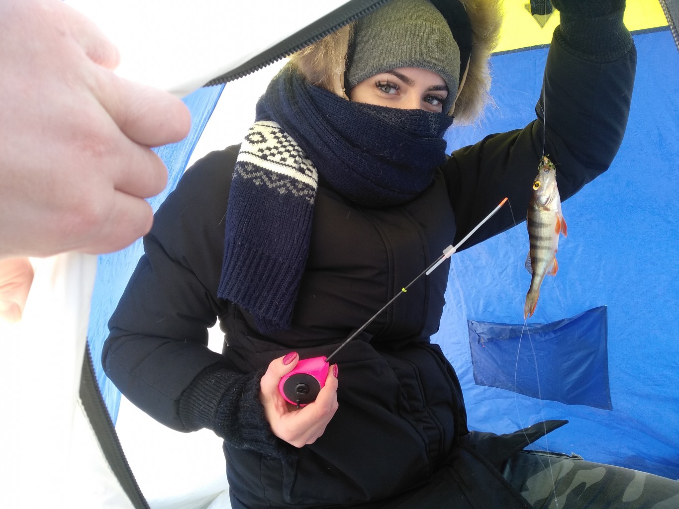 IMG_20200121_120447.jpg