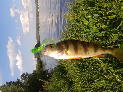 2012-06-17 18.40.47.jpg