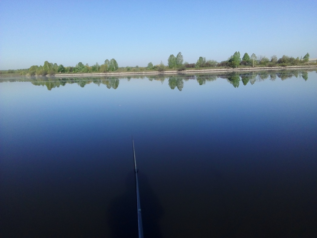 IMG_20200511_081457.jpg