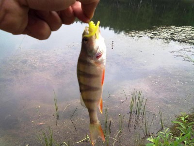 02072012298.jpg