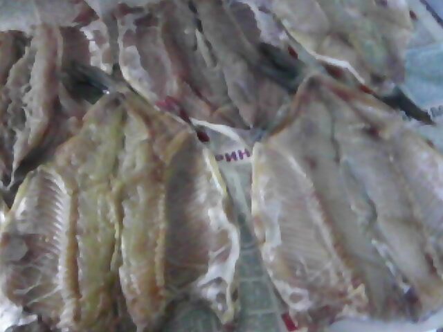 IMG0145A.jpg