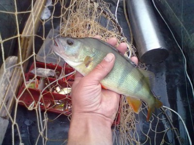 05072012033.jpg