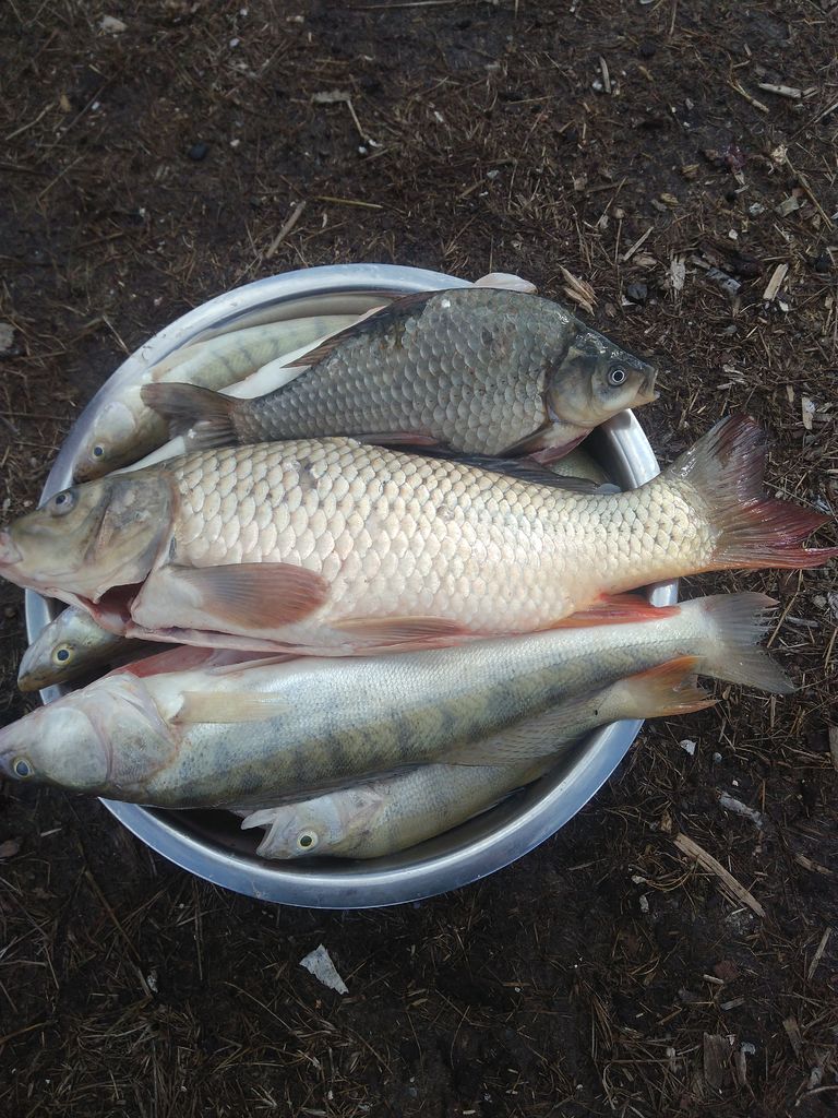 IMG_20200916_121550.jpg