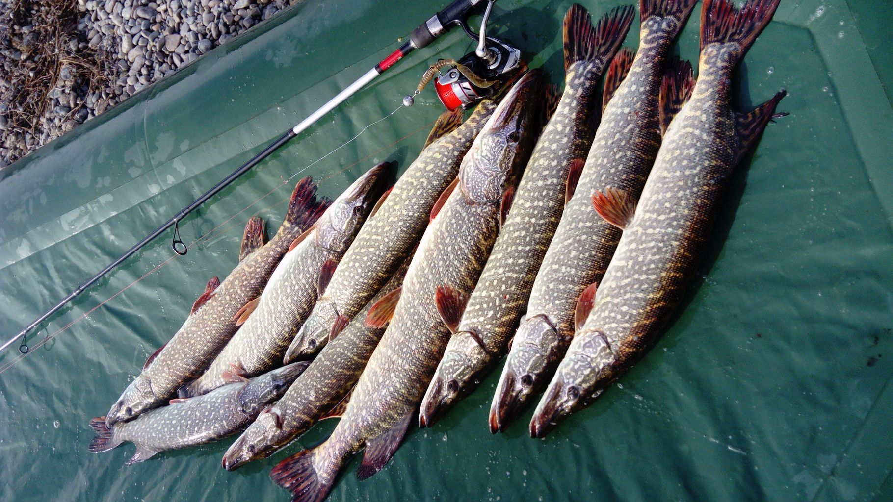IMG-20200925-WA0004.jpeg