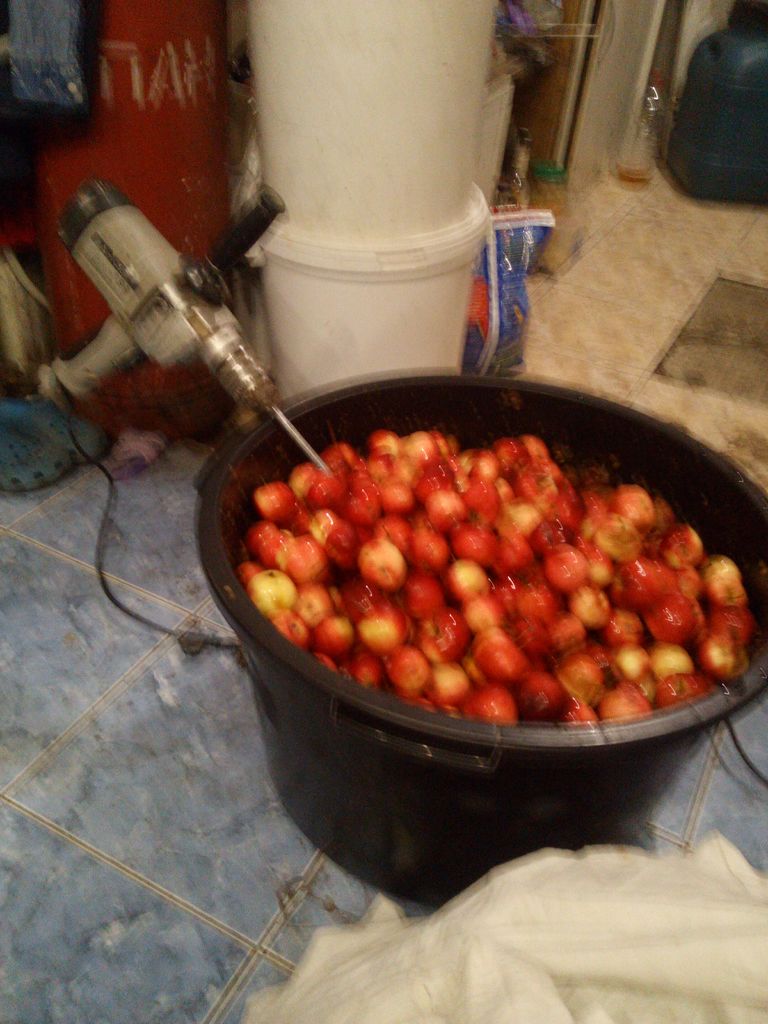 IMG_20201009_000443_6.jpg