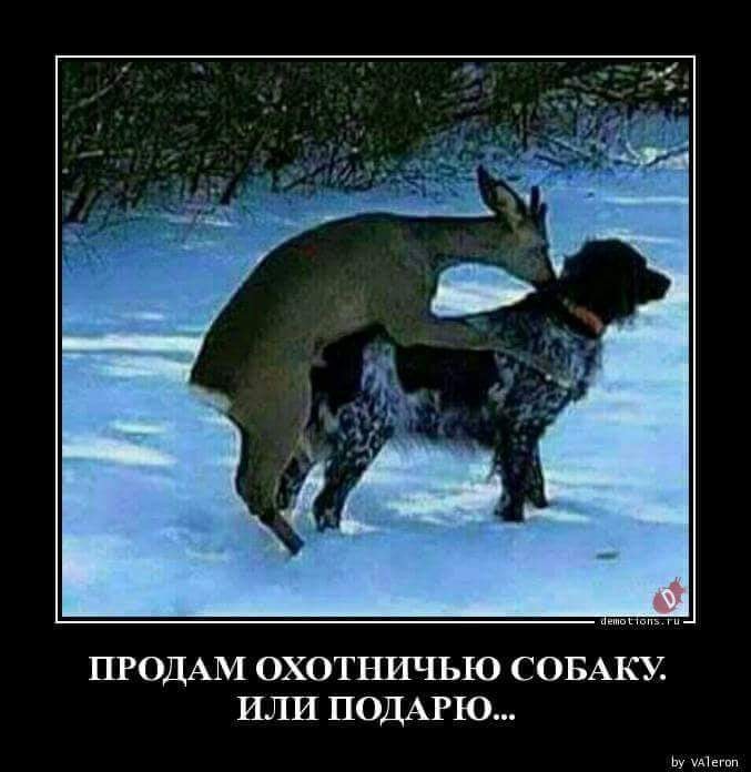 93F12F63-4790-4773-AC24-D7BA837AA0B7.jpeg