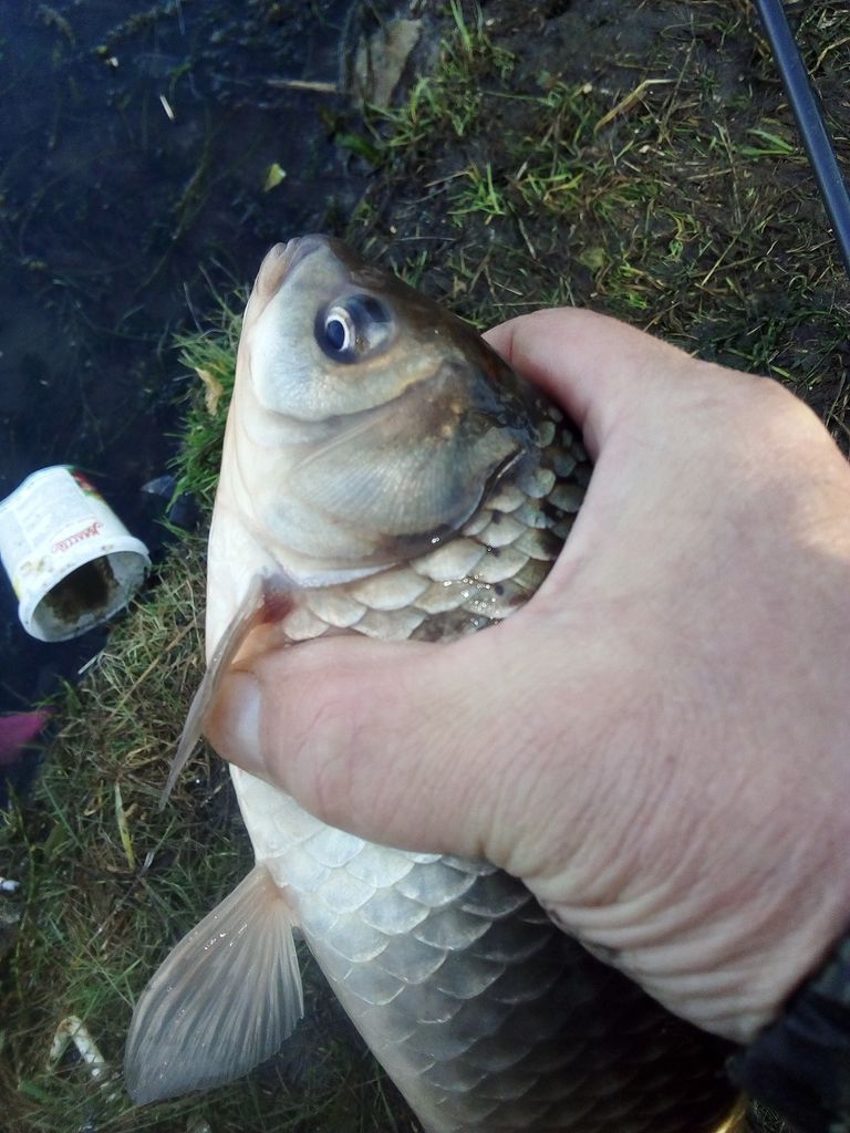 IMG_20201108_103344.jpg