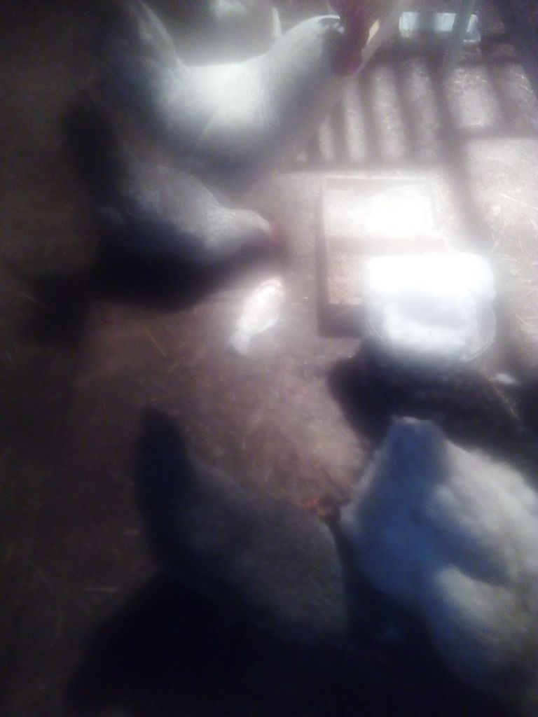 IMG_20201213_184745.jpg