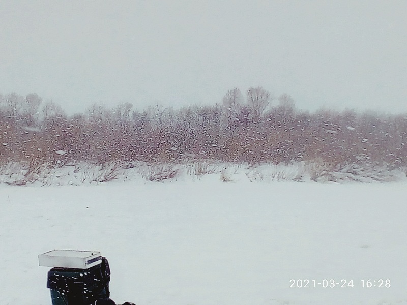 P10324-162802.jpg