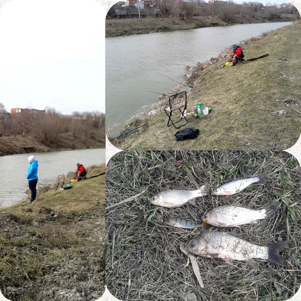 Фото-2980_Fotor_Collage.jpg