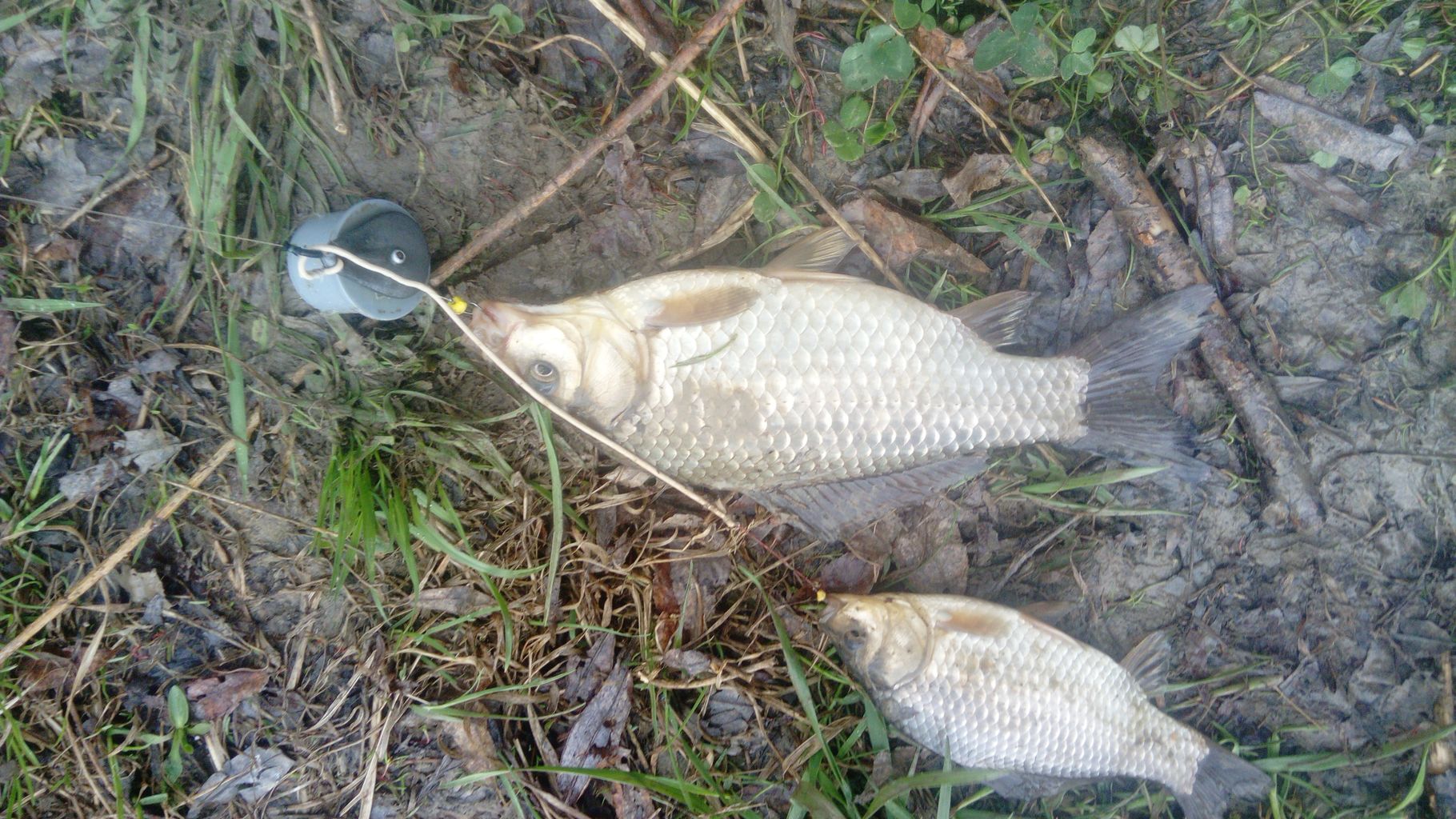 IMG-20210515-WA0004.jpeg