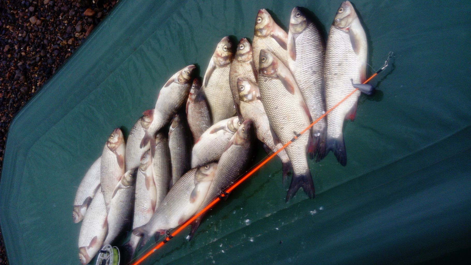 IMG-20210627-WA0000.jpeg