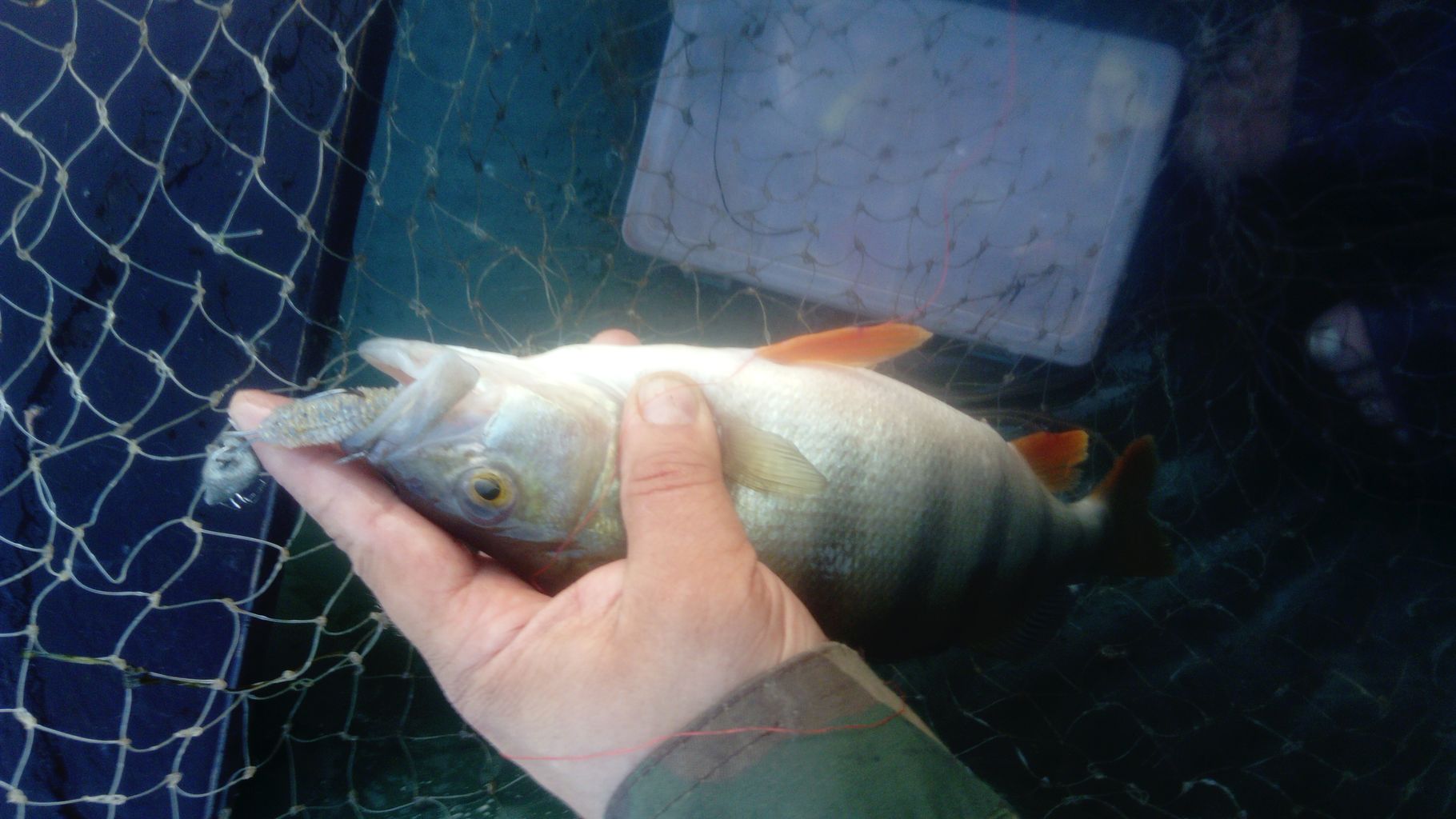 IMG-20210706-WA0004.jpeg