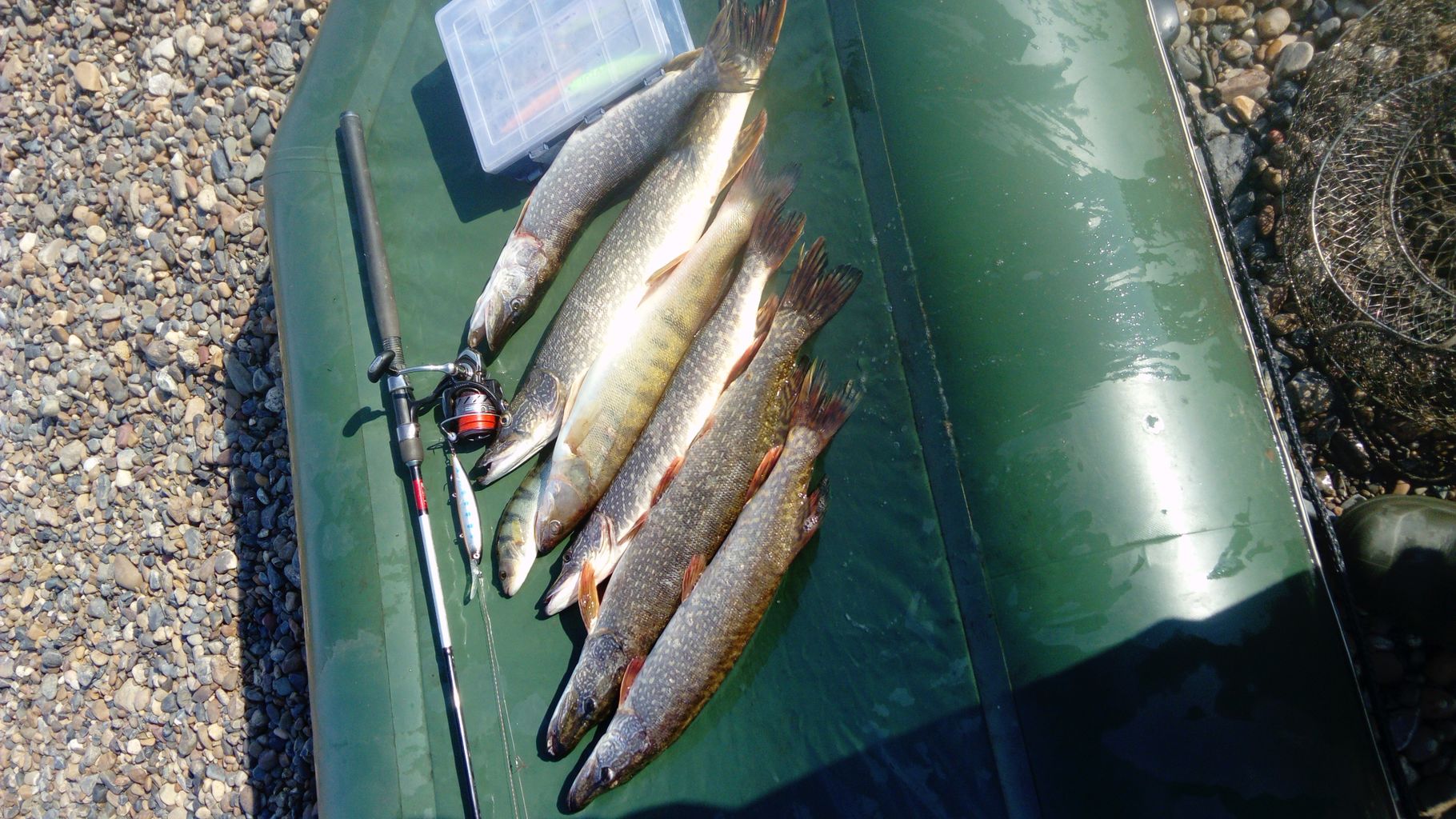 IMG-20210712-WA0008.jpeg