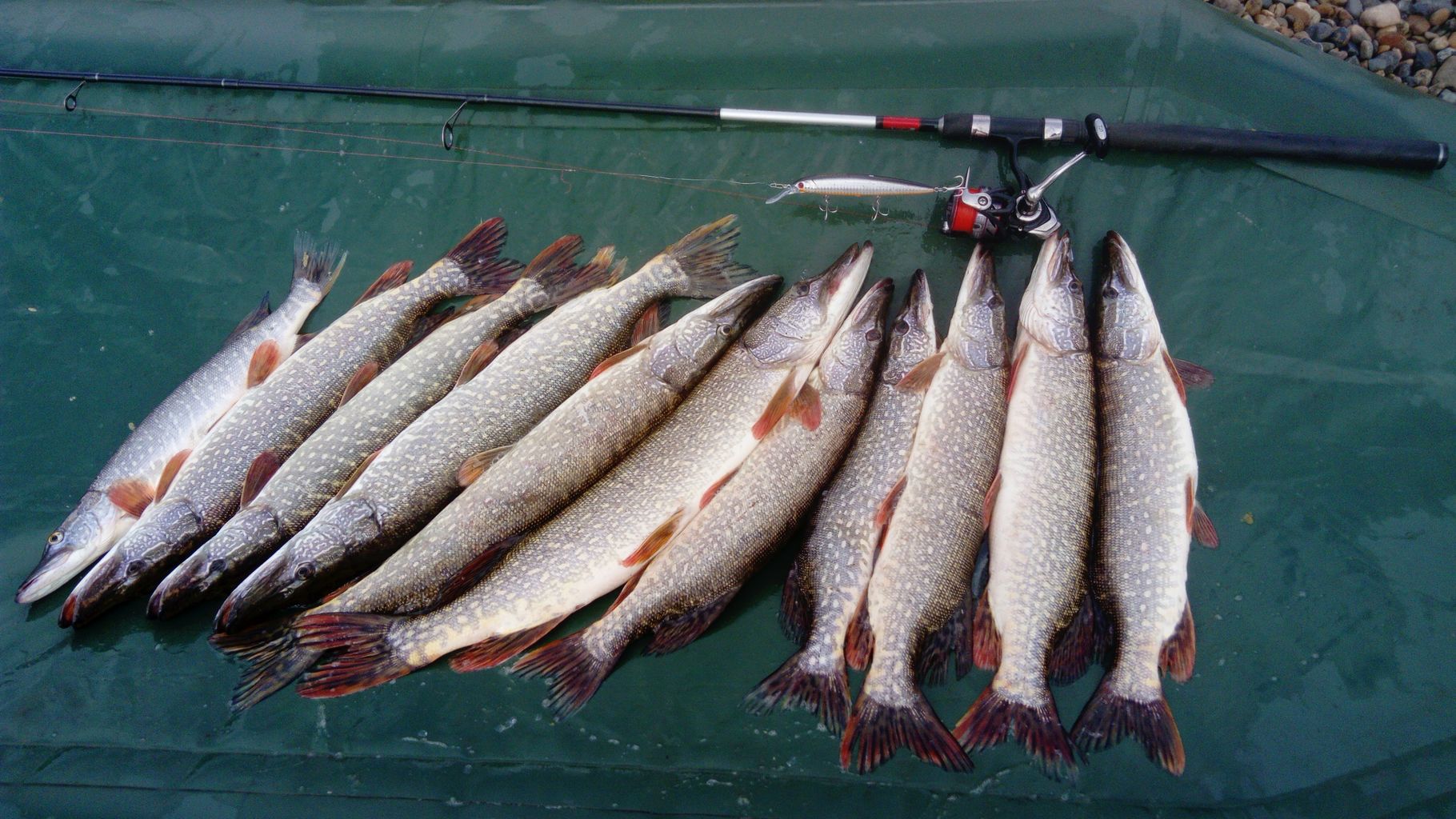 IMG-20210719-WA0004.jpeg