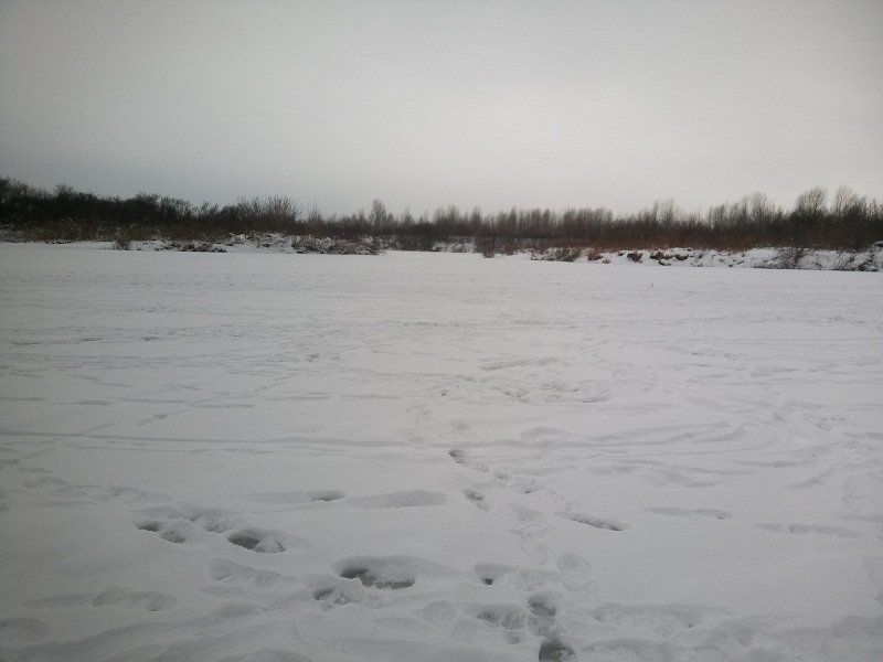 IMG_20211203_131627_655.jpg