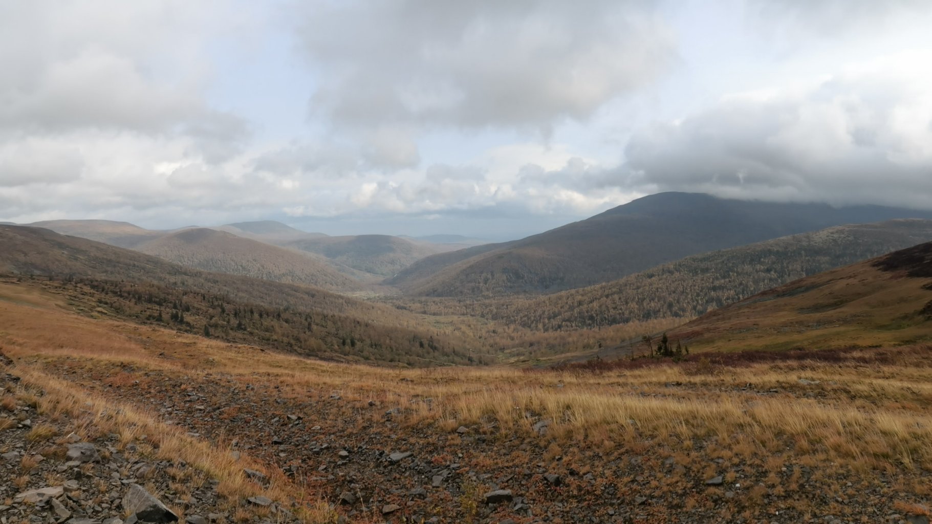 IMG_20210912_114440.jpg