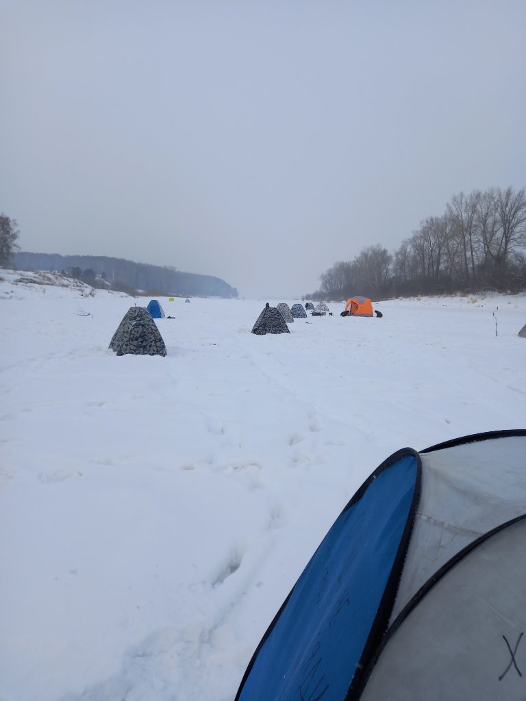 20220202_111527.jpg