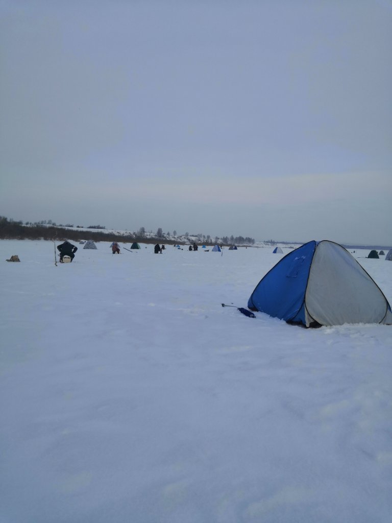 IMG_20220215_104657.jpg