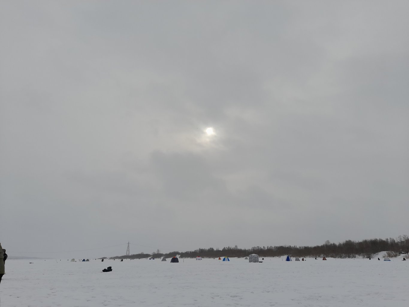 20220223_141956.jpg