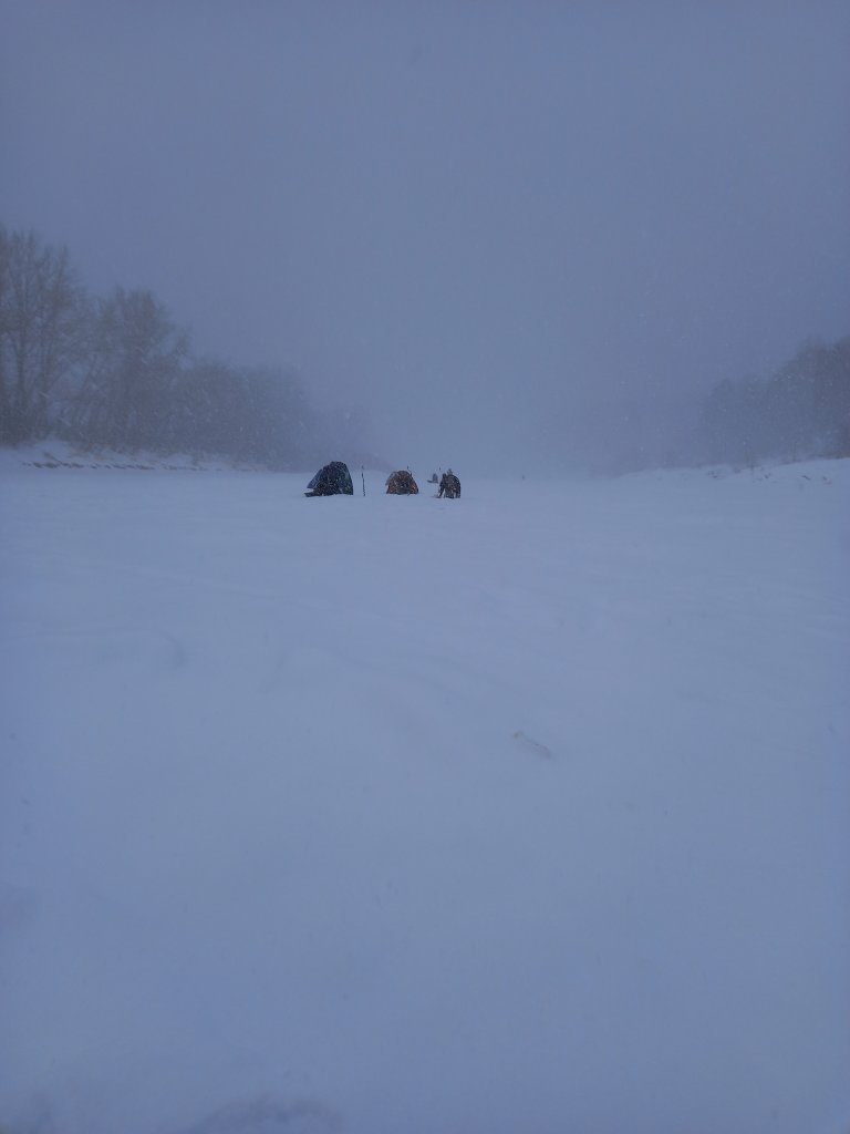 20220302_090313.jpg