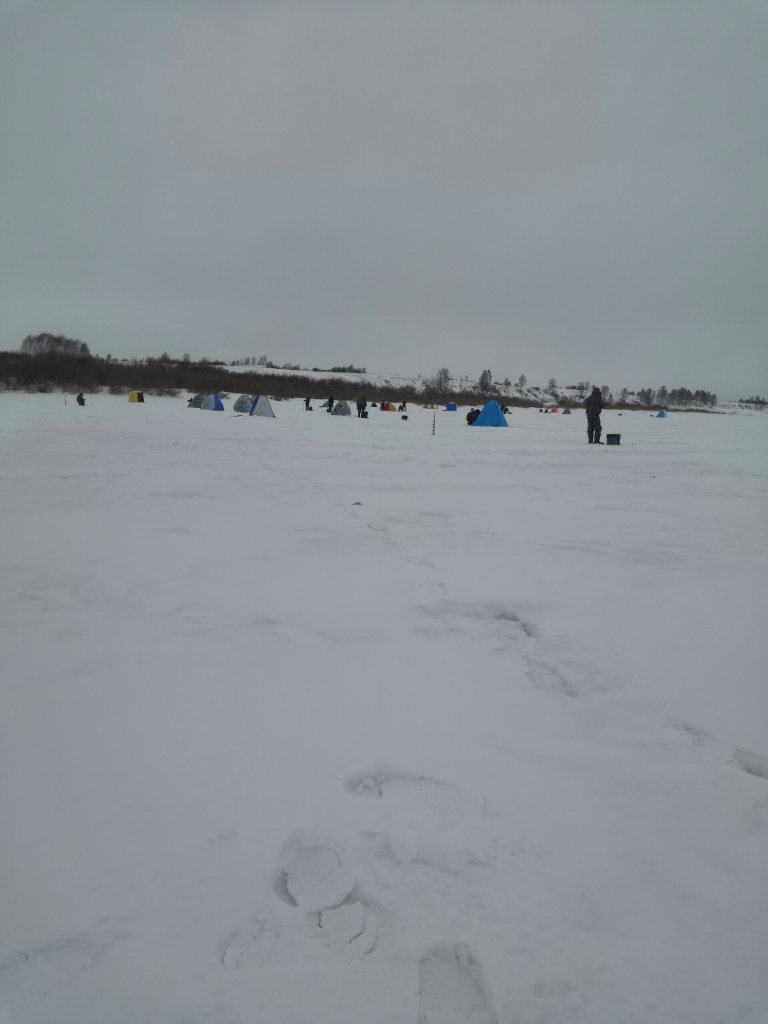IMG_20220306_125536.jpg