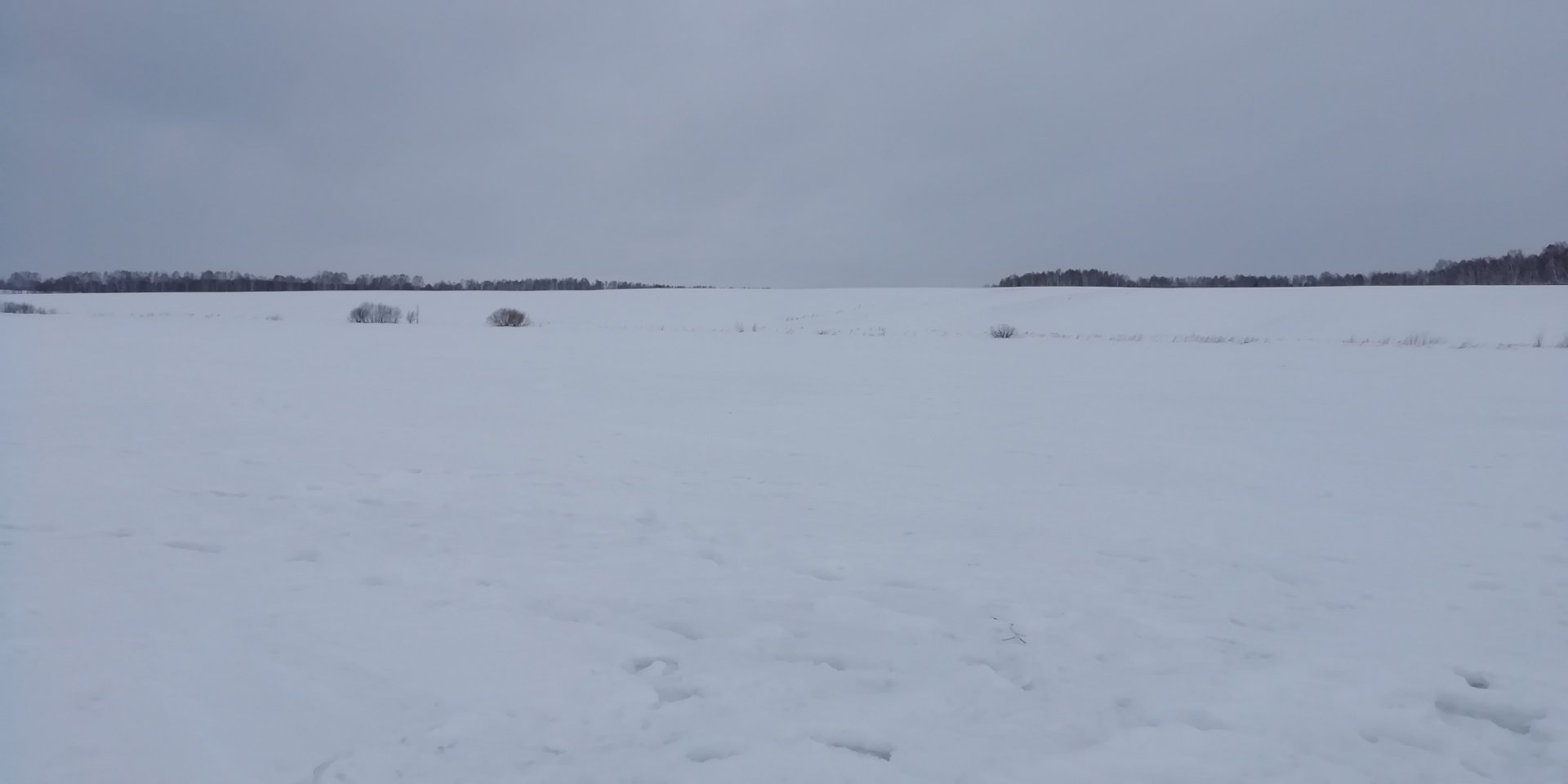 IMG_20220307_103515.jpg