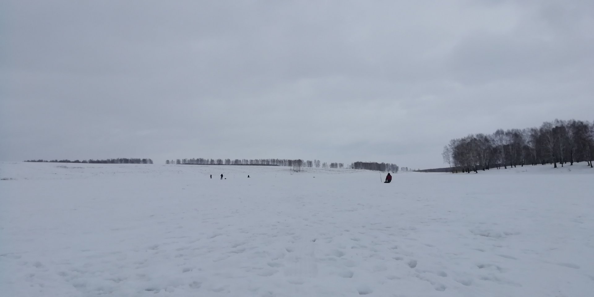 IMG_20220307_103504.jpg