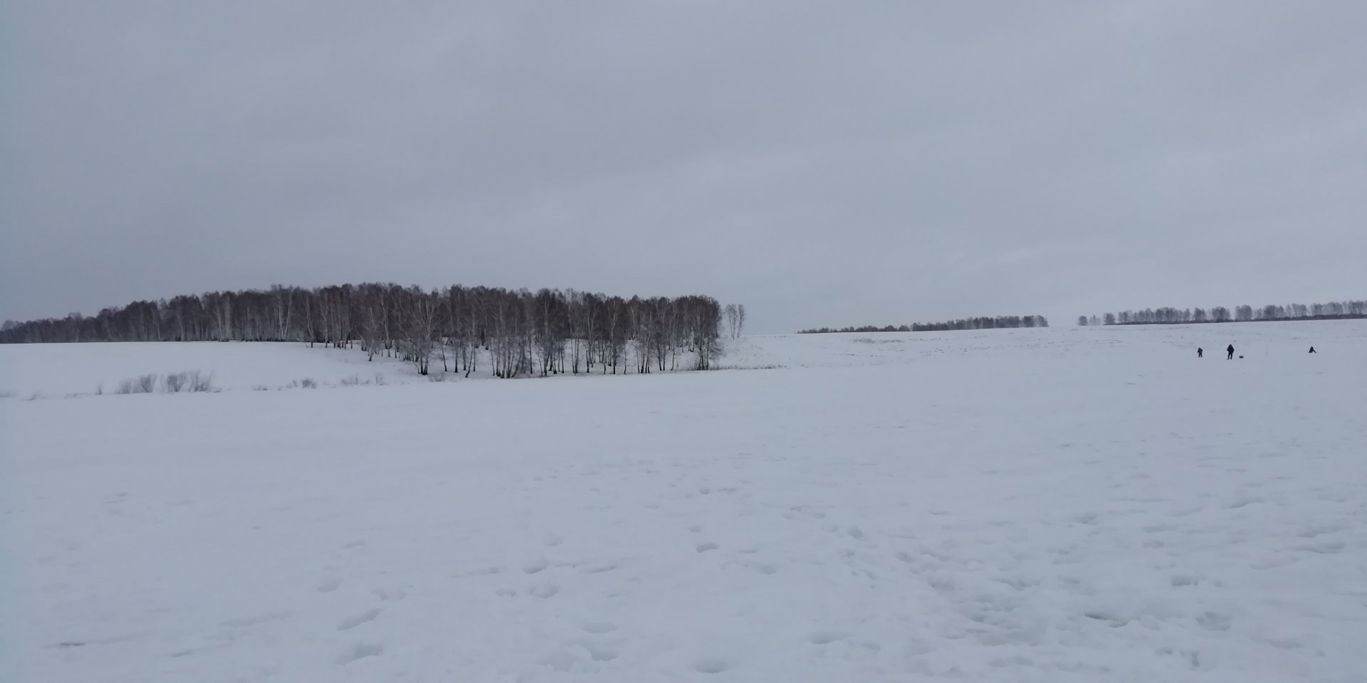 IMG_20220307_103458.jpg