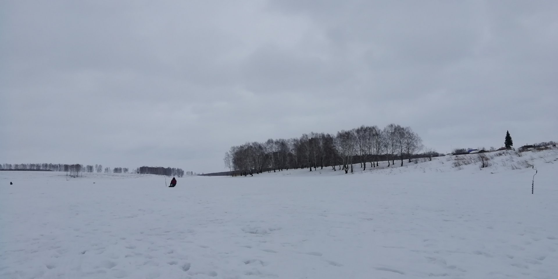 IMG_20220307_103452.jpg