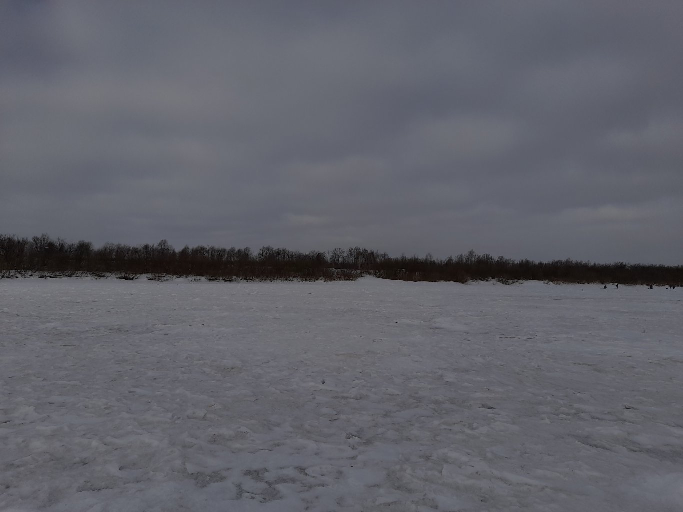 20220320_111029.jpg