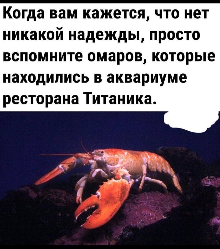 IMG-20220412-WA0004.jpg
