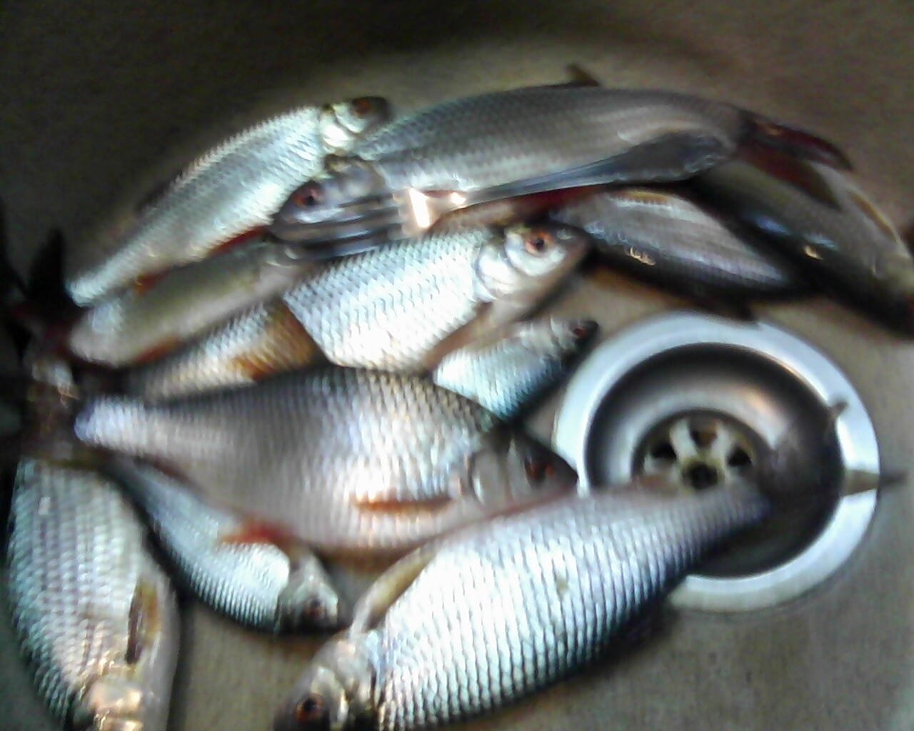IMG-20220427-WA0012.jpg