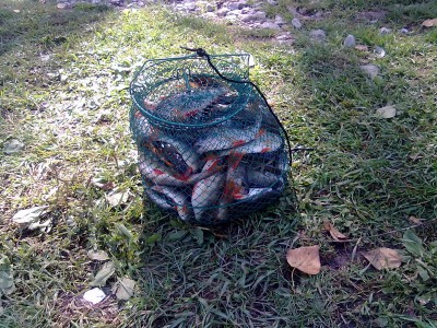 07092012032.jpg