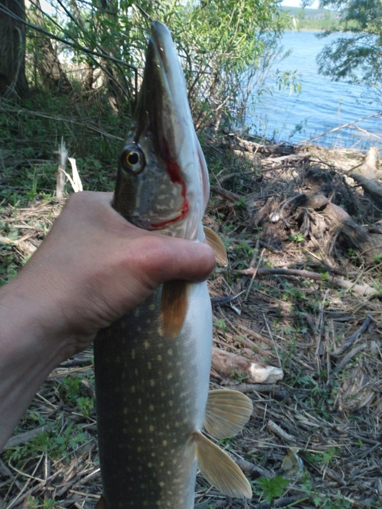20220527_154226.jpg
