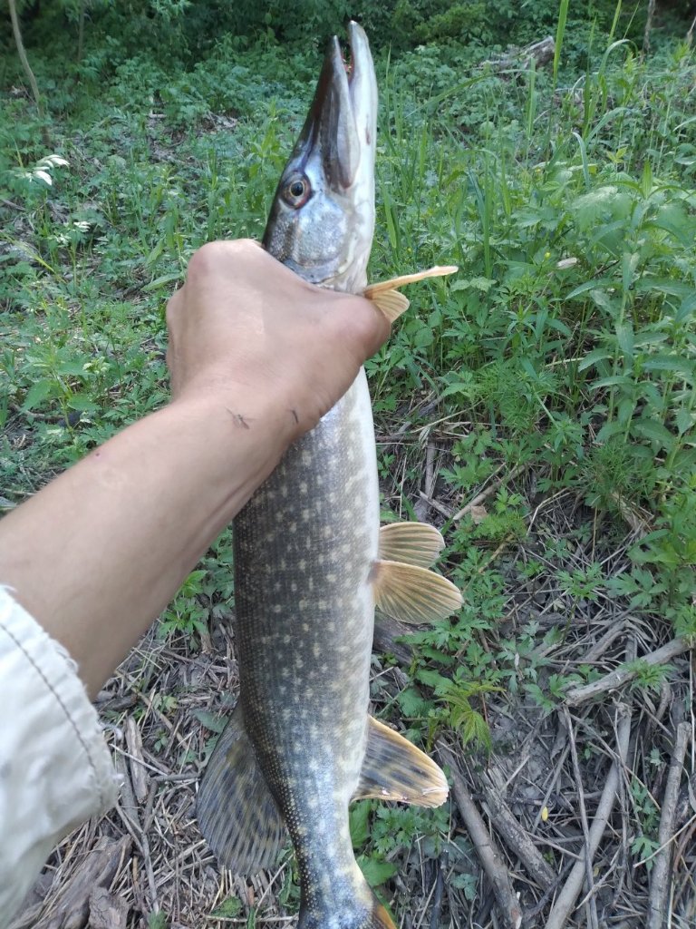 20220527_155218.jpg