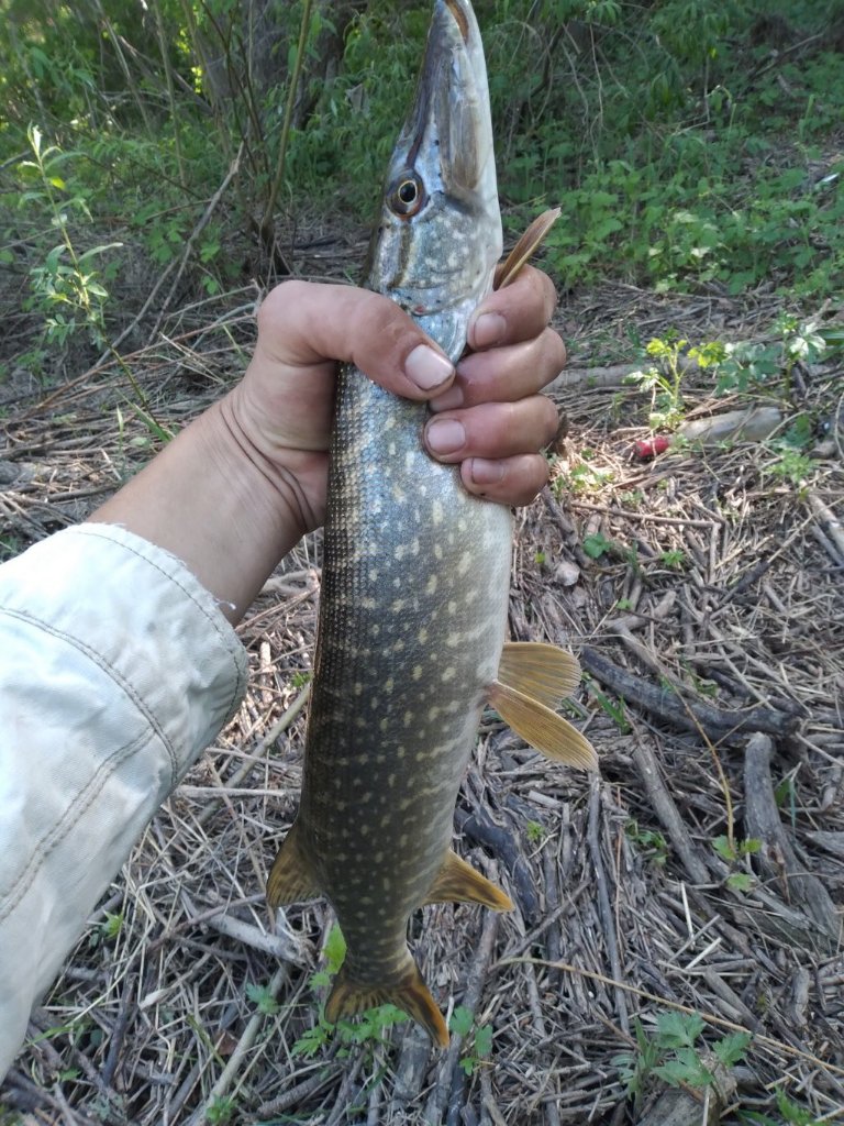 20220527_155805.jpg