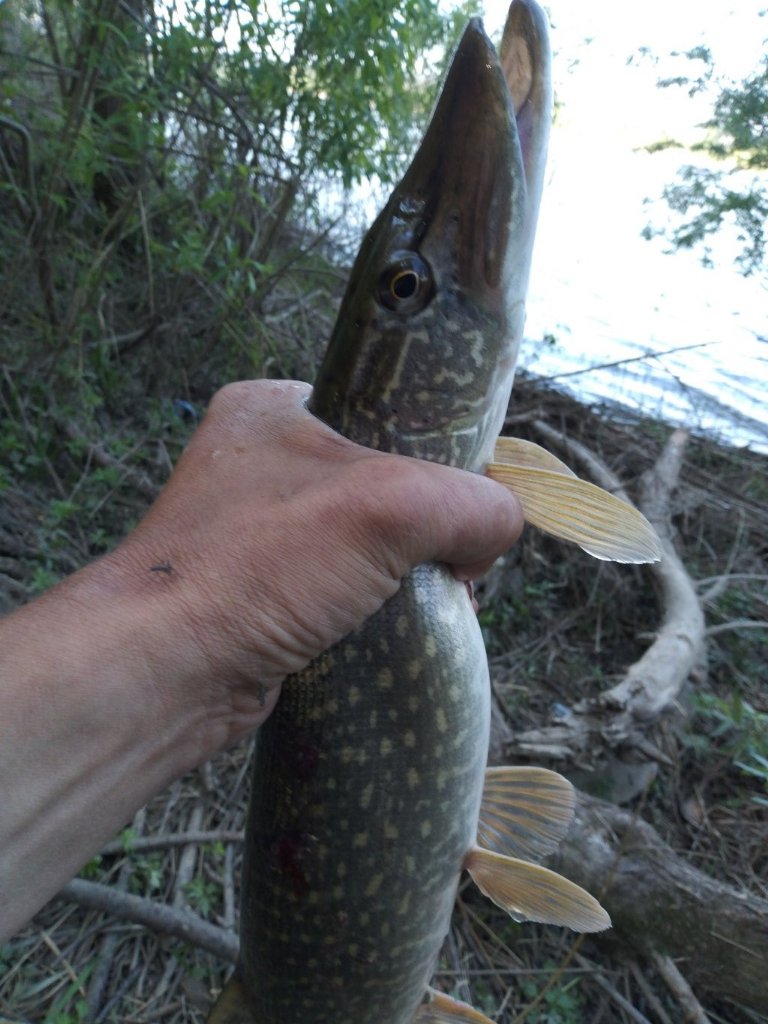 20220527_165802.jpg